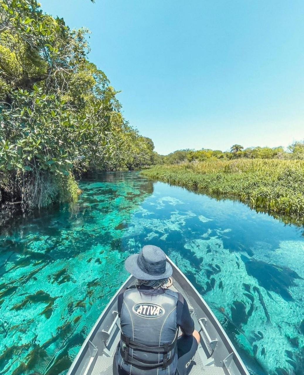 Flutuação Rio Sucuri